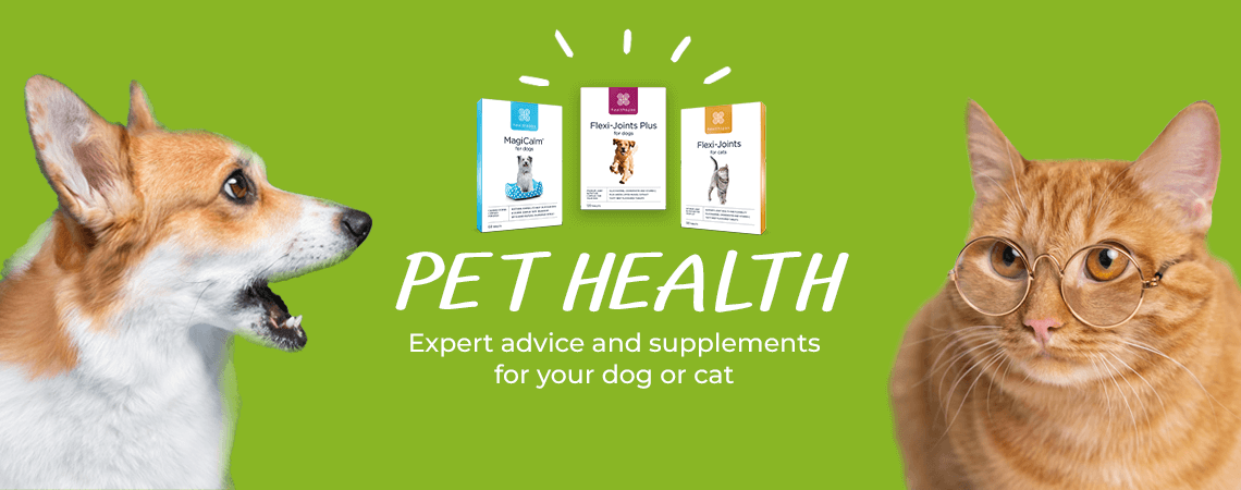 Pet Health: Expert advice and supplements for your dog or cat