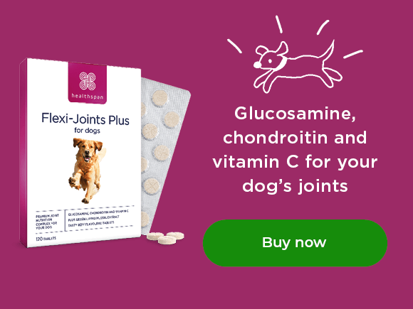 Flexi-Joints Plus: glucosamine, chondroitin and vitamin C for your dog's joints