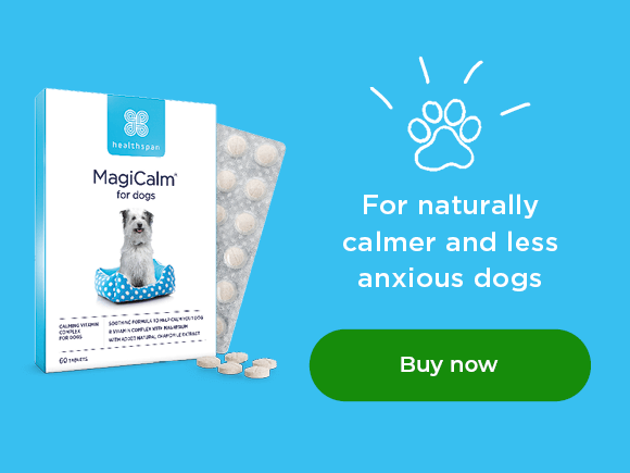MagiCalm: For naturally calmer and less anxious dogs