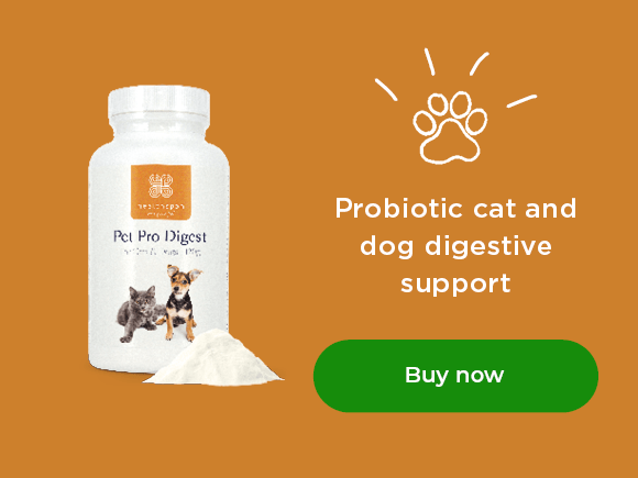 Pet Pro Digest: probiotic cat and dog digestive support