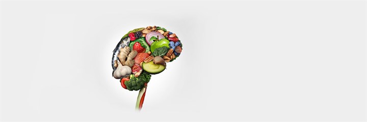 Brain made out of food on white background