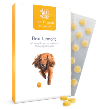 Flexi−Turmeric For Dogs