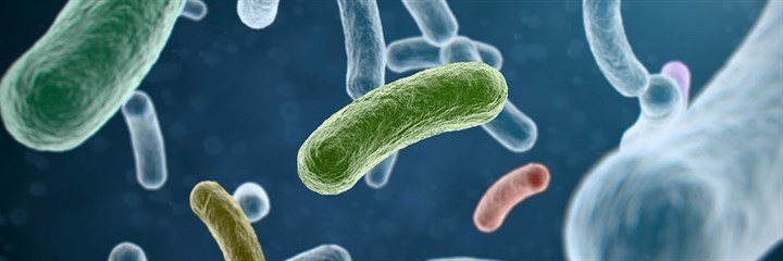 Identifying gut dysbiosis: symptoms to watch