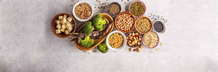 How do vegans get protein and calcium?