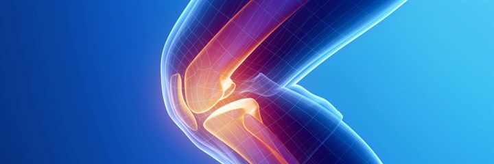 MSM benefits and uses