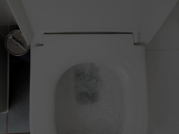A clean flushing toilet