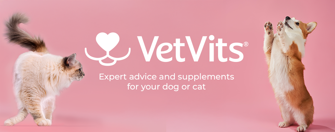 Pet Health: Expert advice and supplements for your dog or cat