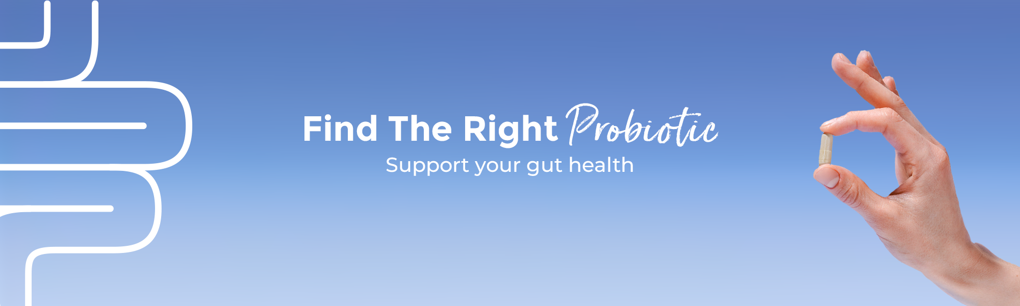 Find the Right Probiotic - Support your gut health