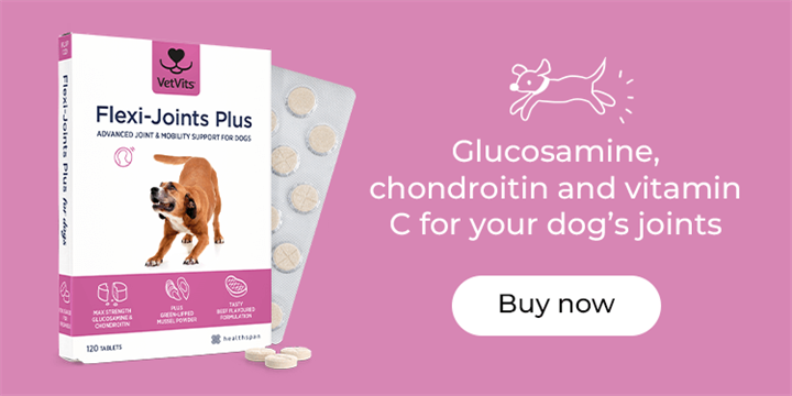 Flexi-Joints Plus: glucosamine, chondroitin and vitamin C for your dog's joints