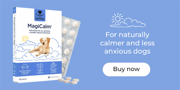 MagiCalm: For naturally calmer and less anxious dogs