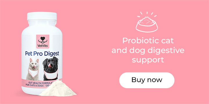Pet Pro Digest: probiotic cat and dog digestive support