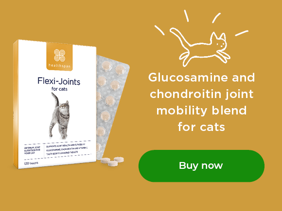 Flexi-Joints for cats: Glucosamine and chondroitin joint mobility blend for cats