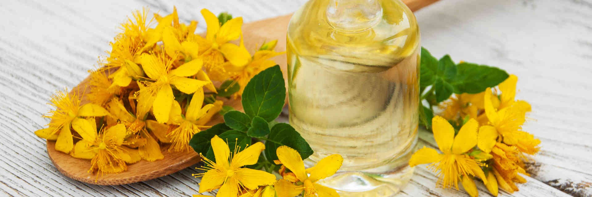 St John's Wort flowers and extract