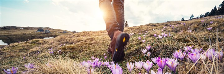 Close-up of someone's leg and shoes walking in the countryside