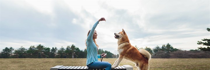 Woman holding treat above dog's head on park bench