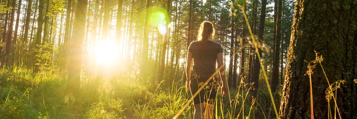 Woman walking in forest in evening sun
