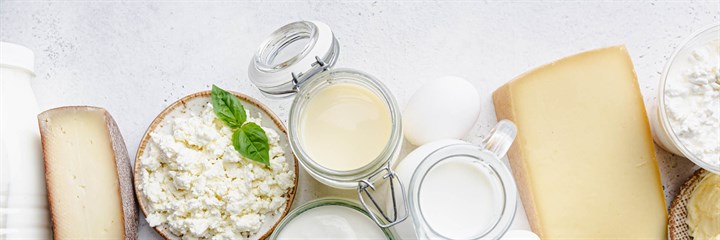 Dairy products close-up