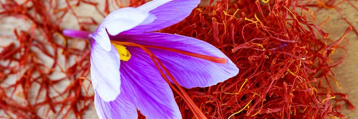 Close-up of saffron flower and spice