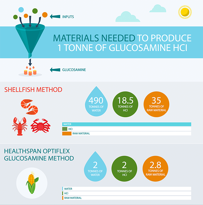 Shellfish glucosamine ingredients versus corn glucosamine ingredients