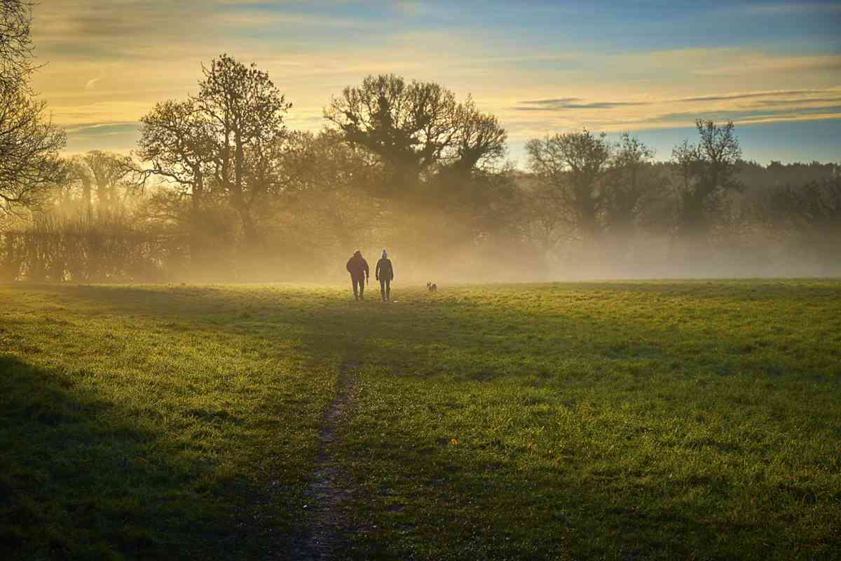 Couple walking dog on misty morning