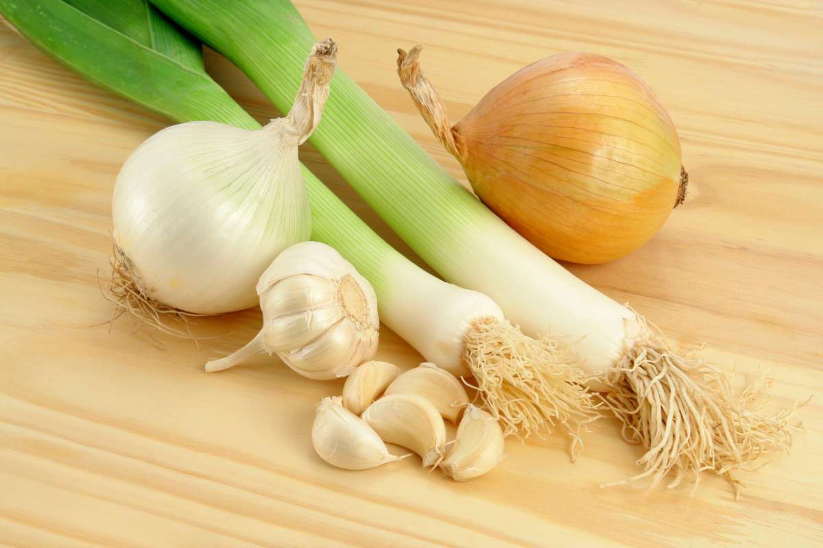 Garlic, onions and leeks on a table