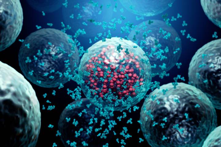 CGI image of T cells and antibodies attacking virus
