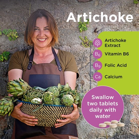 Artichoke 