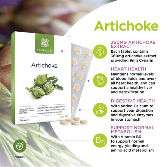 Artichoke 