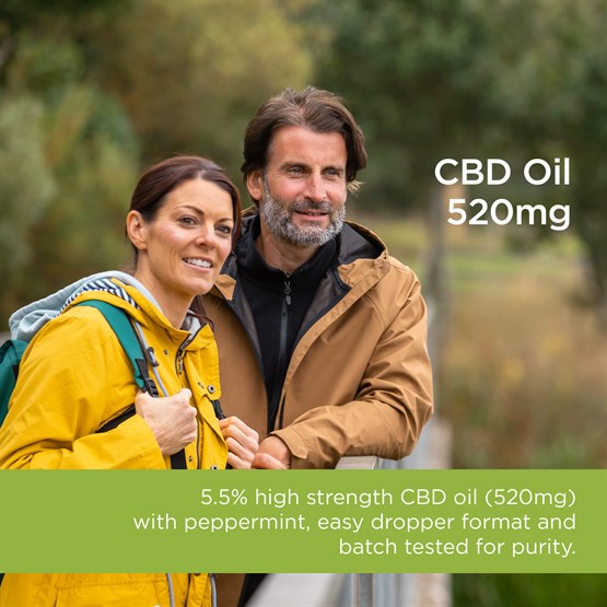 CBD Oil Drops 520mg 