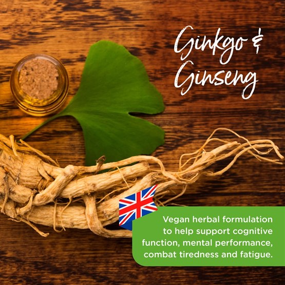 Ginkgo & Ginseng Cognitive Support 