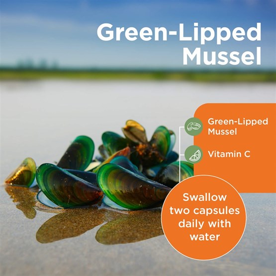 Green−Lipped Mussel 