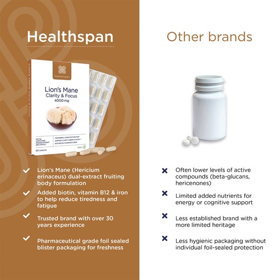 Lion's Mane Clarity & Focus 