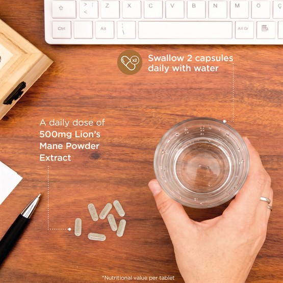 Lion's Mane Clarity & Focus 