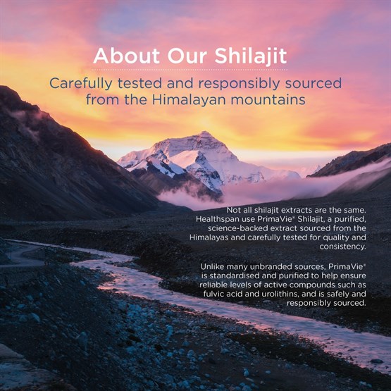 Shilajit Testosterone Support 