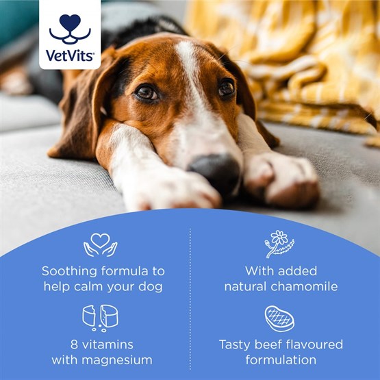 MagiCalm® for Dogs 