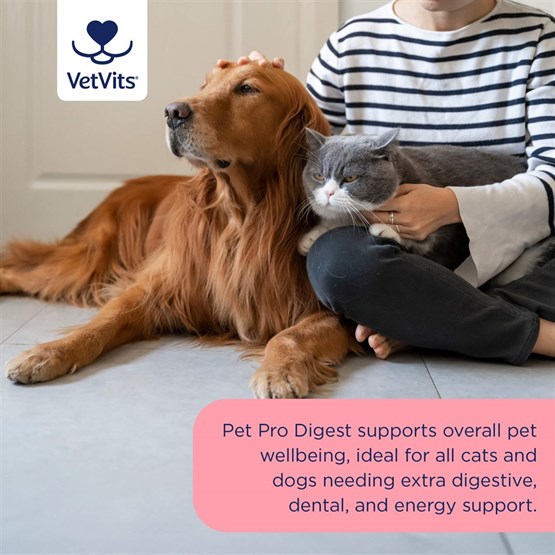Pet Pro Digest 