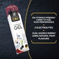Elite Energy Gel − Apple & Blackcurrant 