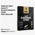 Elite All Blacks CurraNZ Blackcurrant Extract 