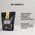 Elite All Blacks Performance Greens 