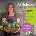 Artichoke 