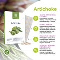 Artichoke 