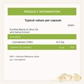 CBD Oil Capsules 384mg 