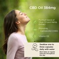 CBD Oil Capsules 384mg 