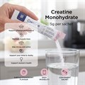 Creatine for Brain & Body 