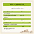 Ginkgo Biloba Cognitive Support 6000mg 