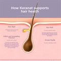 Hair Vitality with Keranat® 
