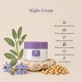Replenish Day−Night Duo Pack 