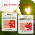 Plant Sterols 
