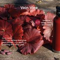 Vein-Vine Leg Vein Support 