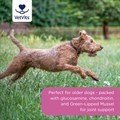 Flexi−Joints Plus for Dogs 